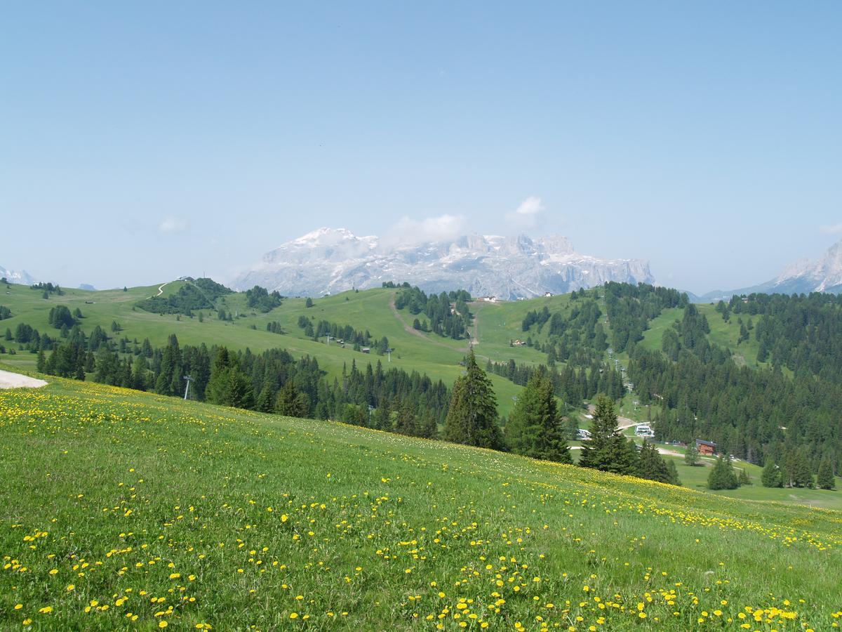 Residence Vajolet San Cassiano Extérieur photo